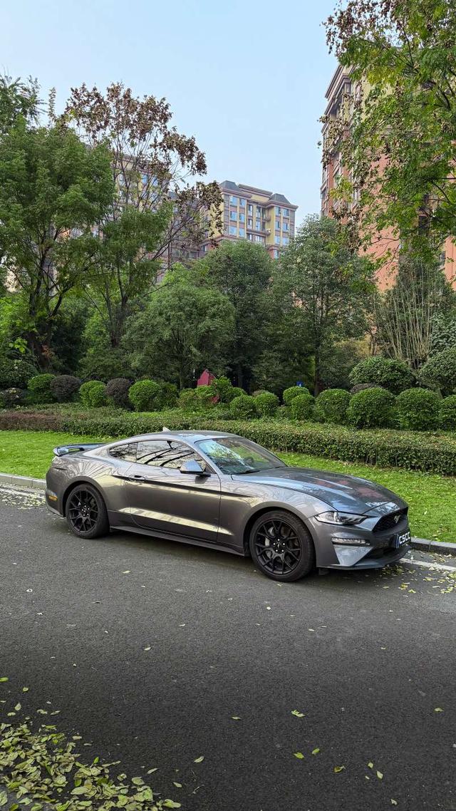 Mustang Модель 2021 года 2.3T EcoBoost – фото 6