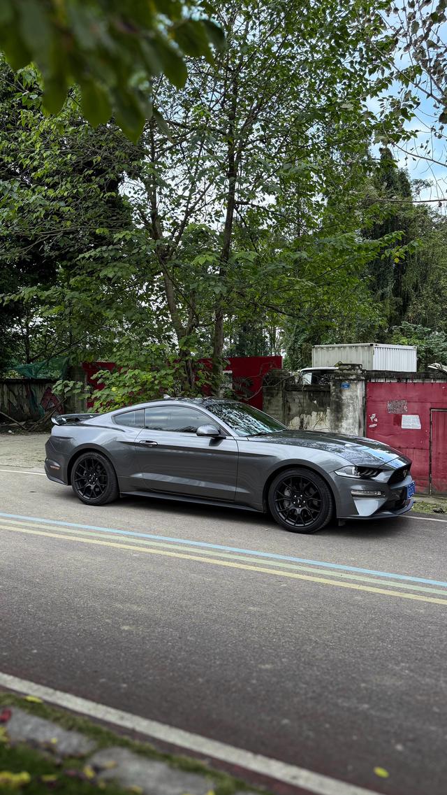 Mustang Модель 2021 года 2.3T EcoBoost – фото 7