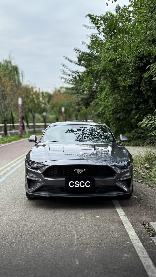 Mustang Модель 2021 года 2.3T EcoBoost – фото 8