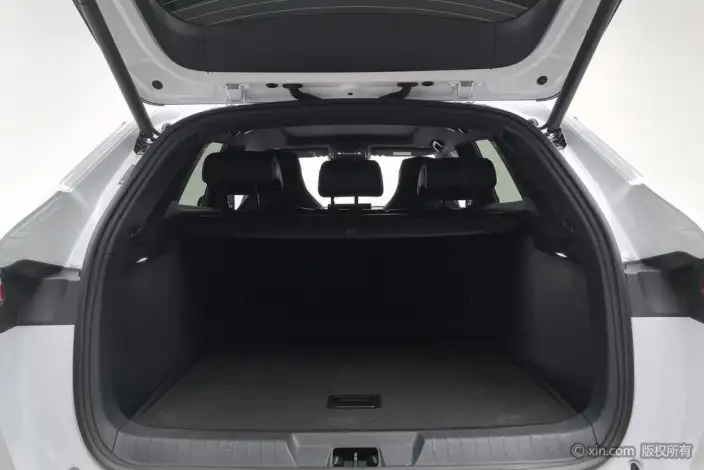 BYD Song PLUS DM 2021 Model DM-i 110KM 2WD Flagship PLUS – фото 23