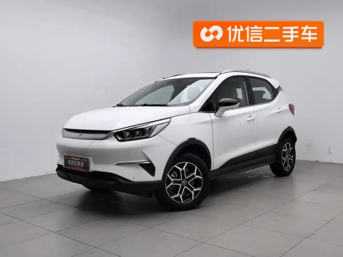 Yuan Pro 2021 Model 401KM Noble Model – фото 1
