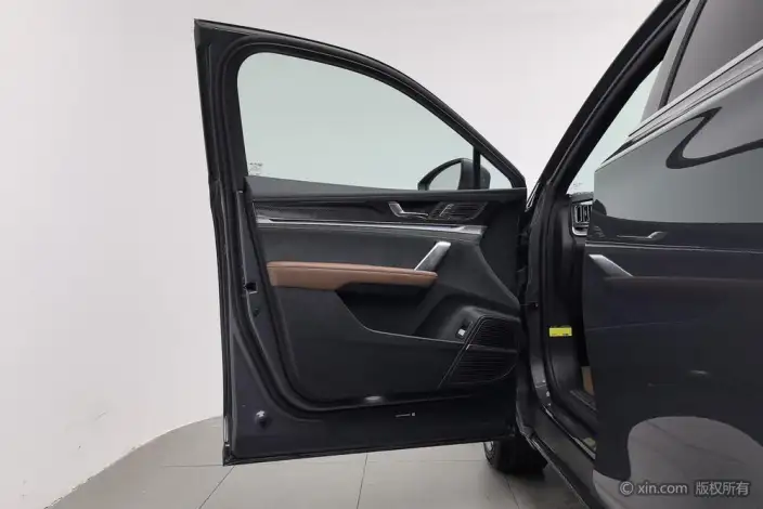 BYD Tang DM 2021 Model DM-i 1.5T 112KM Zunrong Model – фото 21