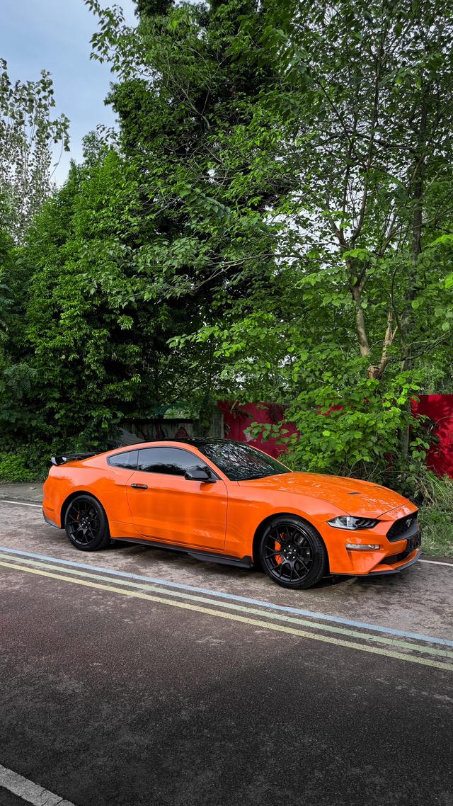 Mustang Модель 2020 года 2.3T EcoBoost – фото 3