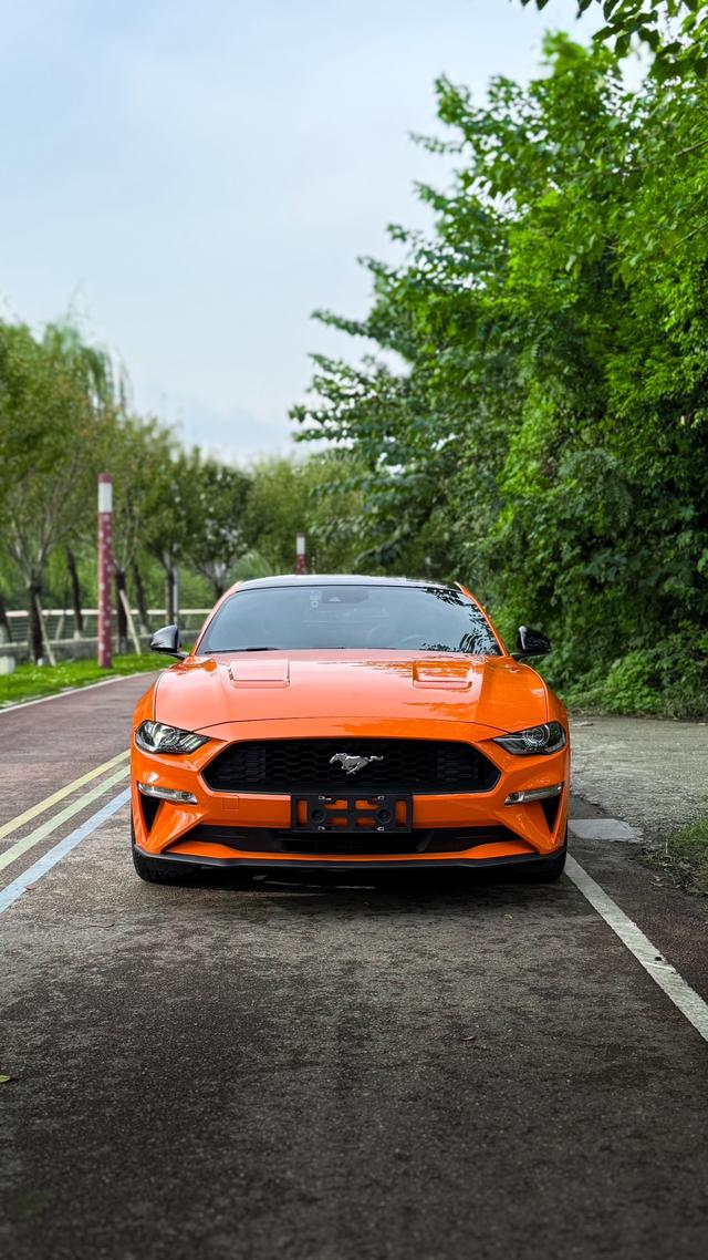 Mustang Модель 2020 года 2.3T EcoBoost – фото 4