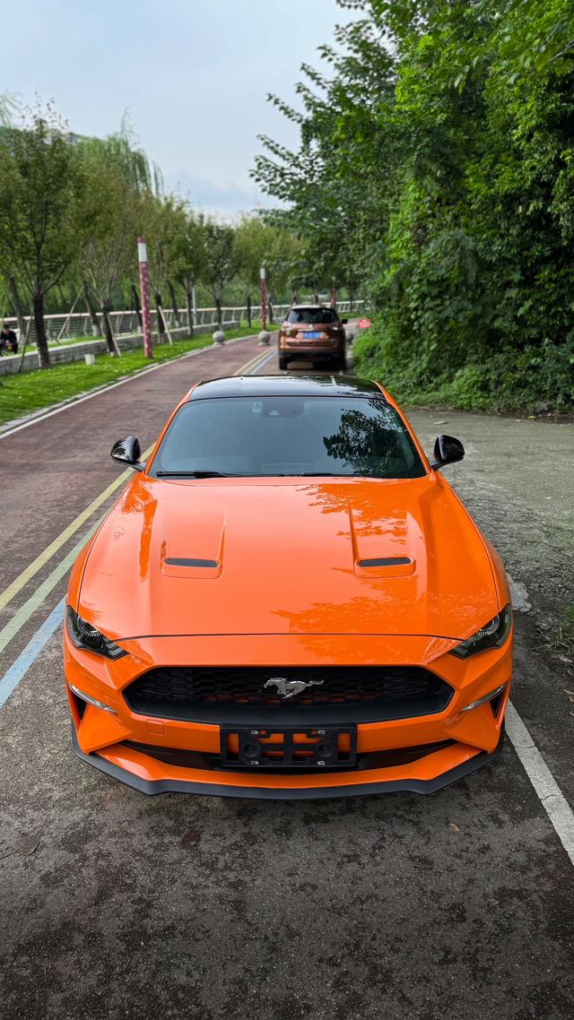Mustang Модель 2020 года 2.3T EcoBoost – фото 5