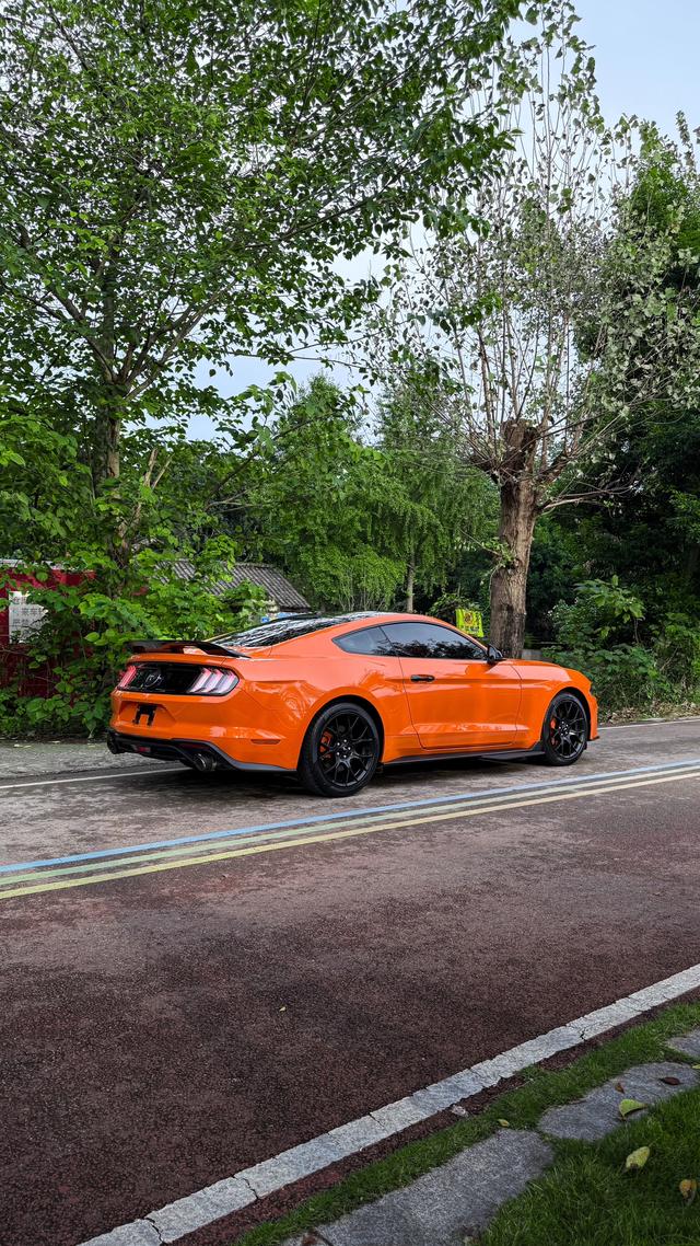 Mustang Модель 2020 года 2.3T EcoBoost – фото 6