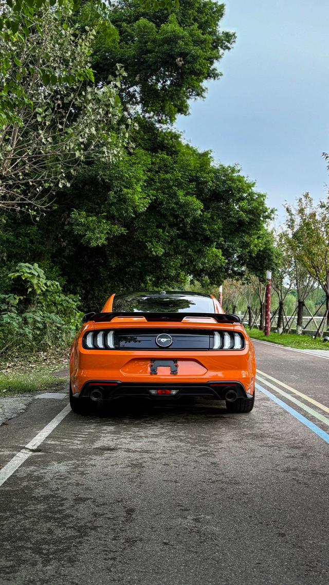 Mustang Модель 2020 года 2.3T EcoBoost – фото 7
