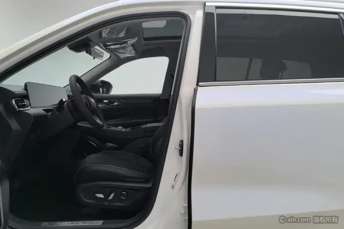 Lingyu 2021 Model EcoBoost 225 6 seat Zun Ling Model – фото 17