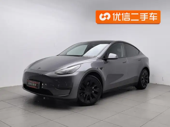 Model Y 2021 Model Standard Battery Life Rear-wheel drive version – фото 1
