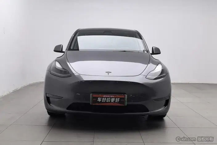 Model Y 2021 Model Standard Battery Life Rear-wheel drive version – фото 2