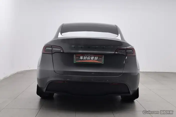 Model Y 2021 Model Standard Battery Life Rear-wheel drive version – фото 3