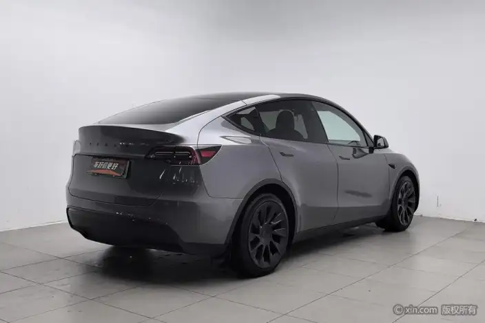 Model Y 2021 Model Standard Battery Life Rear-wheel drive version – фото 4