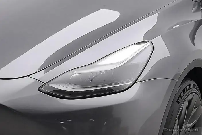 Model Y 2021 Model Standard Battery Life Rear-wheel drive version – фото 6