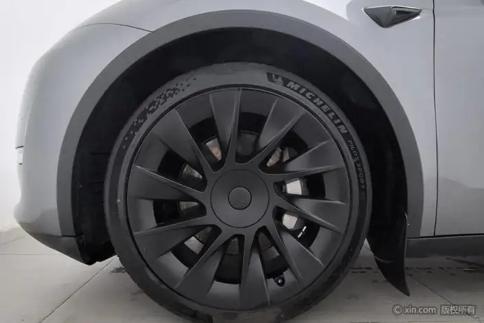 Model Y 2021 Model Standard Battery Life Rear-wheel drive version – фото 8