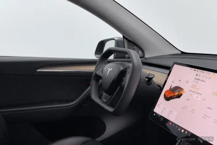 Model Y 2021 Model Standard Battery Life Rear-wheel drive version – фото 11