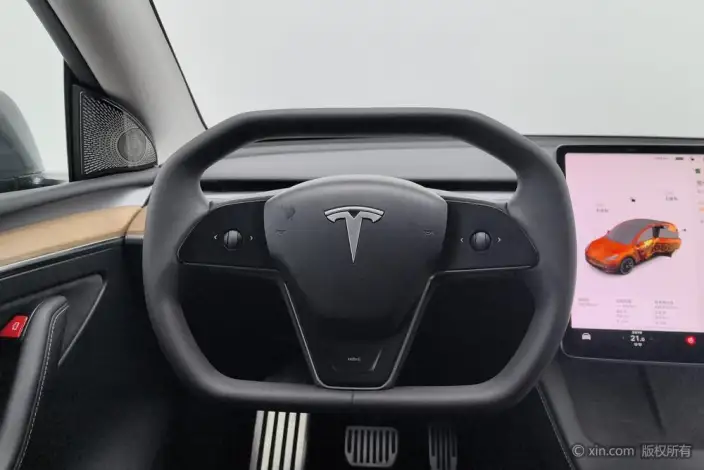 Model Y 2021 Model Standard Battery Life Rear-wheel drive version – фото 14
