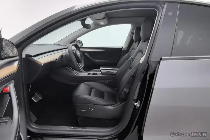 Model Y 2021 Model Standard Battery Life Rear-wheel drive version – фото 16