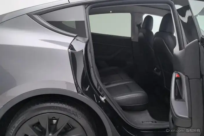 Model Y 2021 Model Standard Battery Life Rear-wheel drive version – фото 18