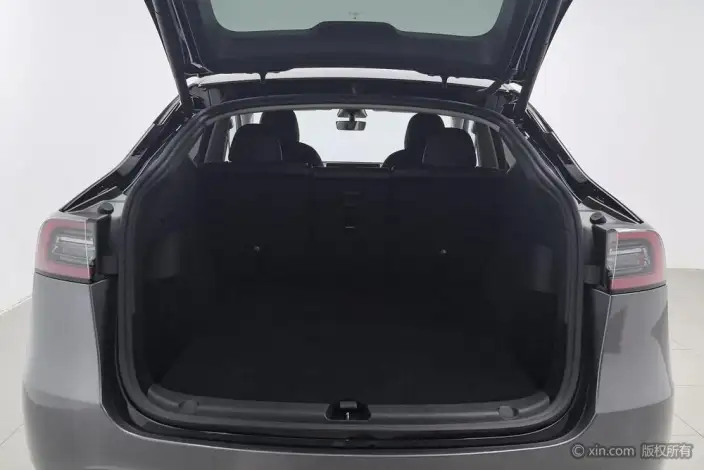 Model Y 2021 Model Standard Battery Life Rear-wheel drive version – фото 22
