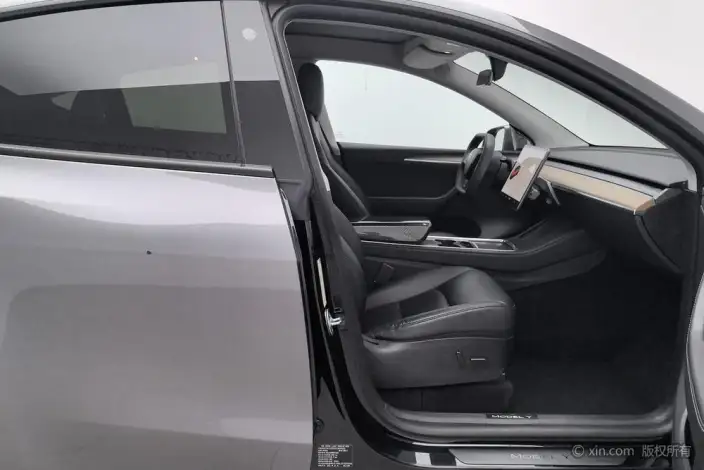 Model Y 2021 Model Standard Battery Life Rear-wheel drive version – фото 24