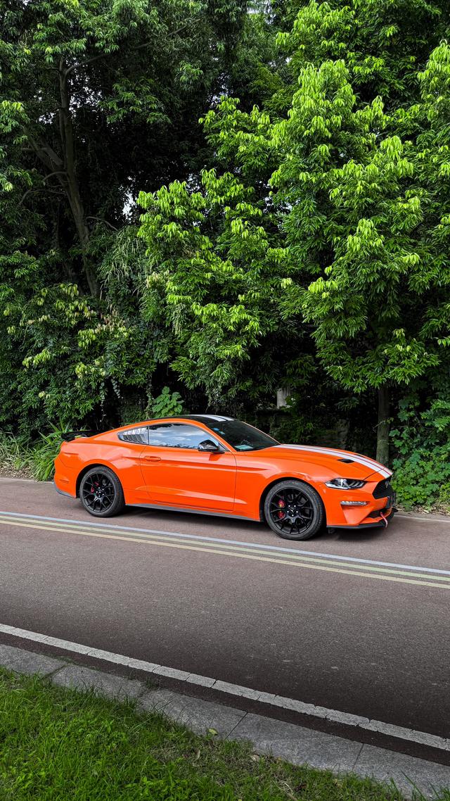 Mustang Модель 2019 года 2.3T EcoBoost – фото 2