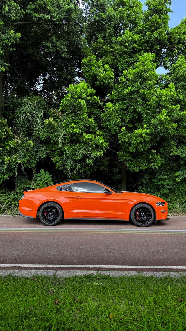 Mustang Модель 2019 года 2.3T EcoBoost – фото 3