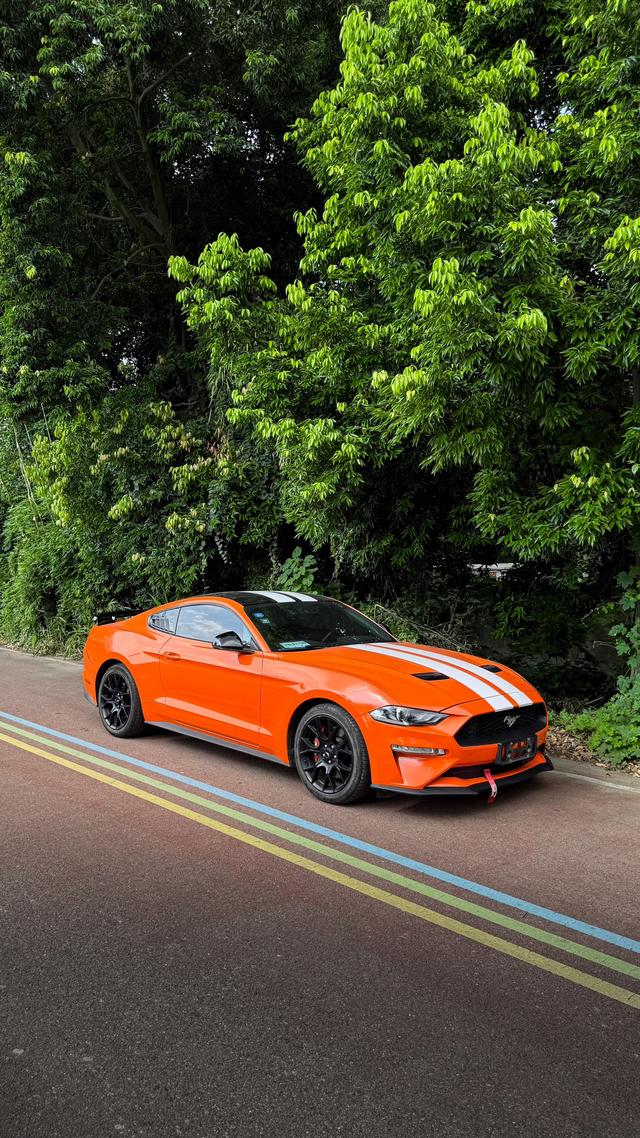 Mustang Модель 2019 года 2.3T EcoBoost – фото 4