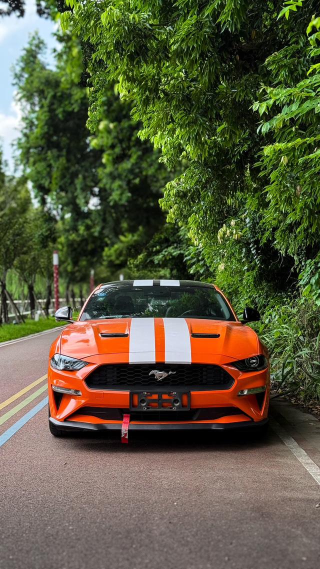 Mustang Модель 2019 года 2.3T EcoBoost – фото 5