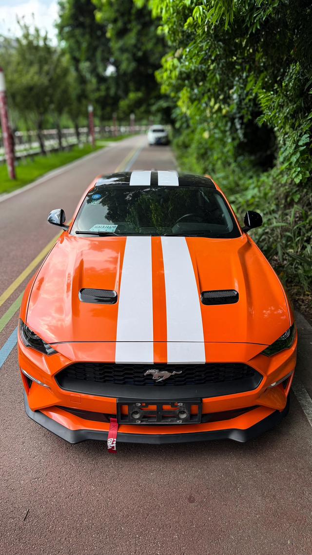 Mustang Модель 2019 года 2.3T EcoBoost – фото 6