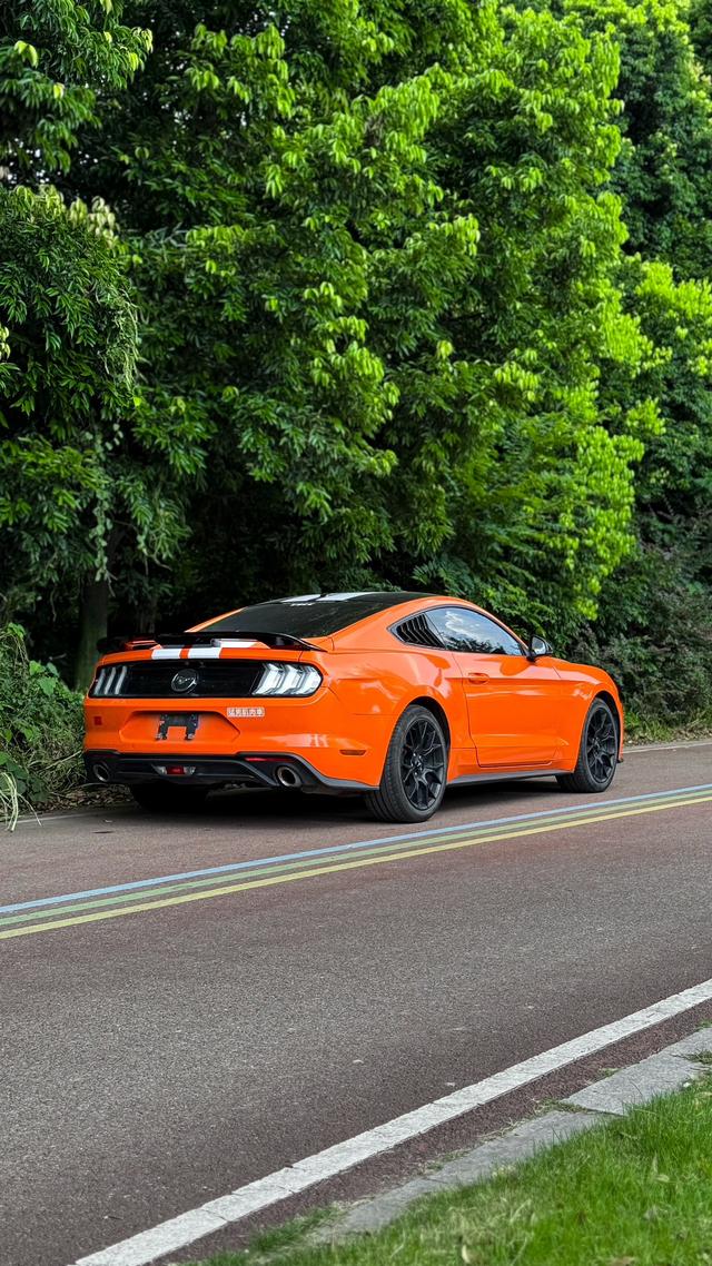 Mustang Модель 2019 года 2.3T EcoBoost – фото 7