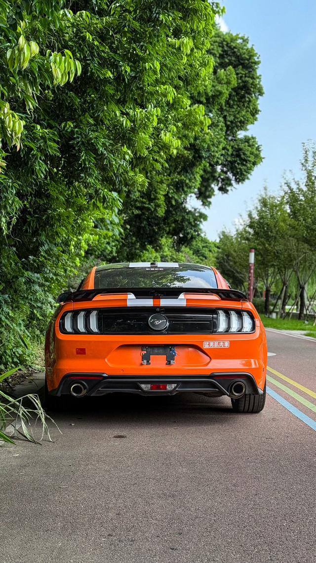 Mustang Модель 2019 года 2.3T EcoBoost – фото 8