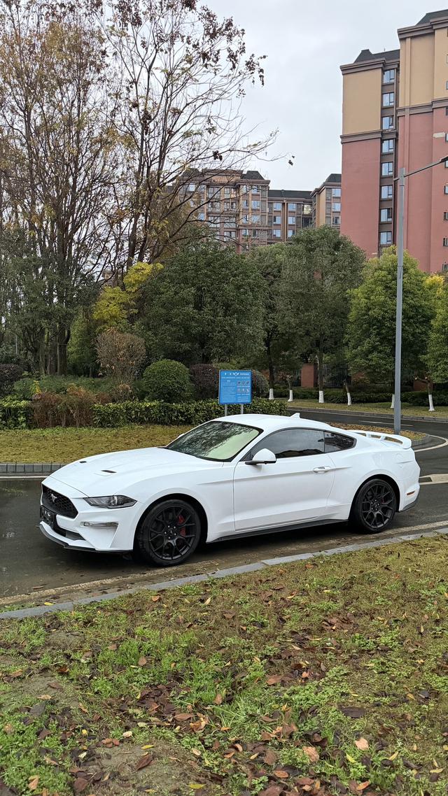 Mustang Модель 2020 года 2.3T EcoBoost – фото 1