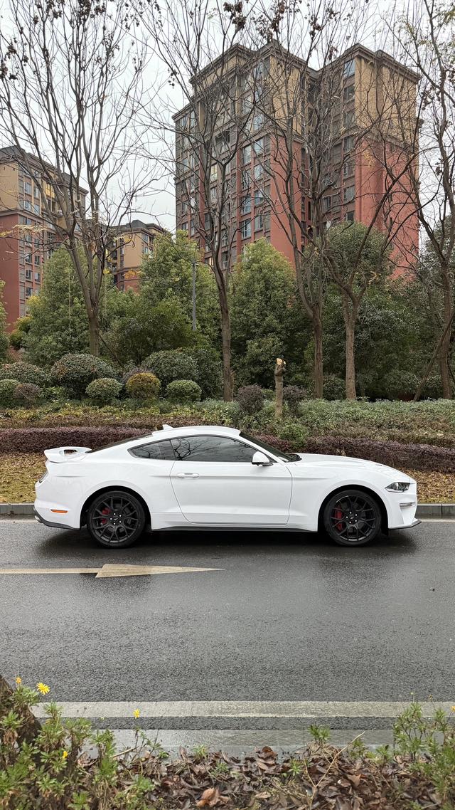 Mustang Модель 2020 года 2.3T EcoBoost – фото 2