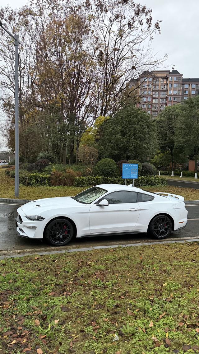 Mustang Модель 2020 года 2.3T EcoBoost – фото 3