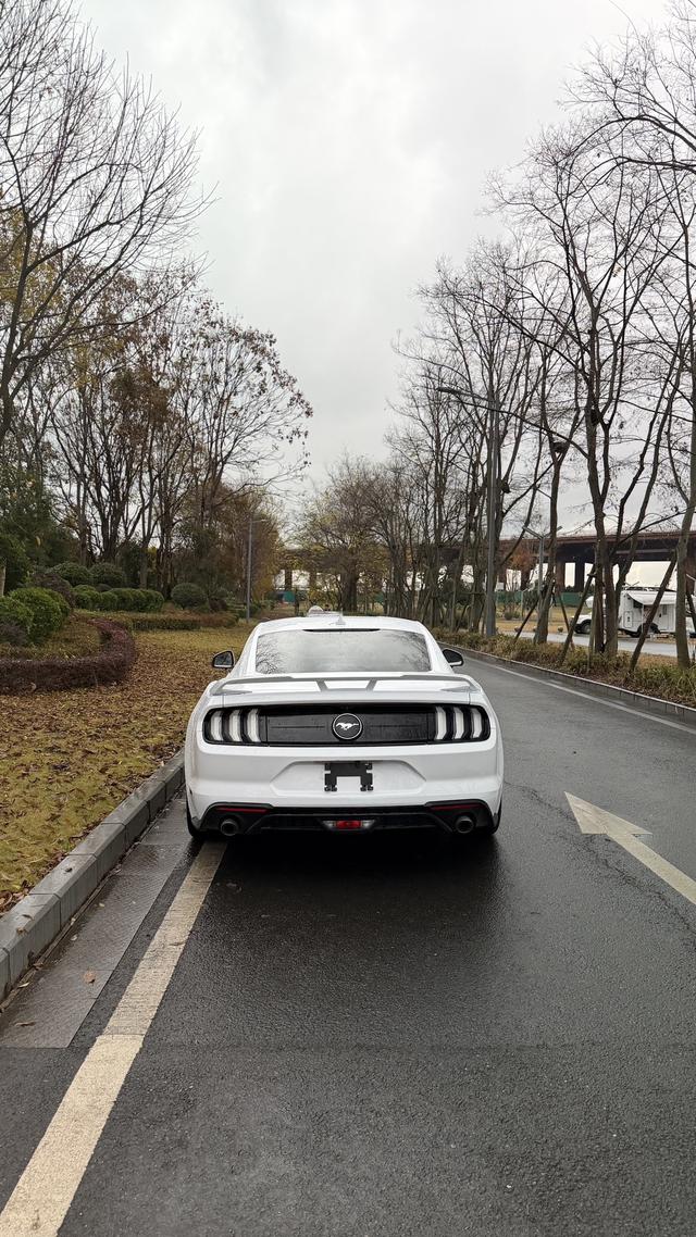 Mustang Модель 2020 года 2.3T EcoBoost – фото 4