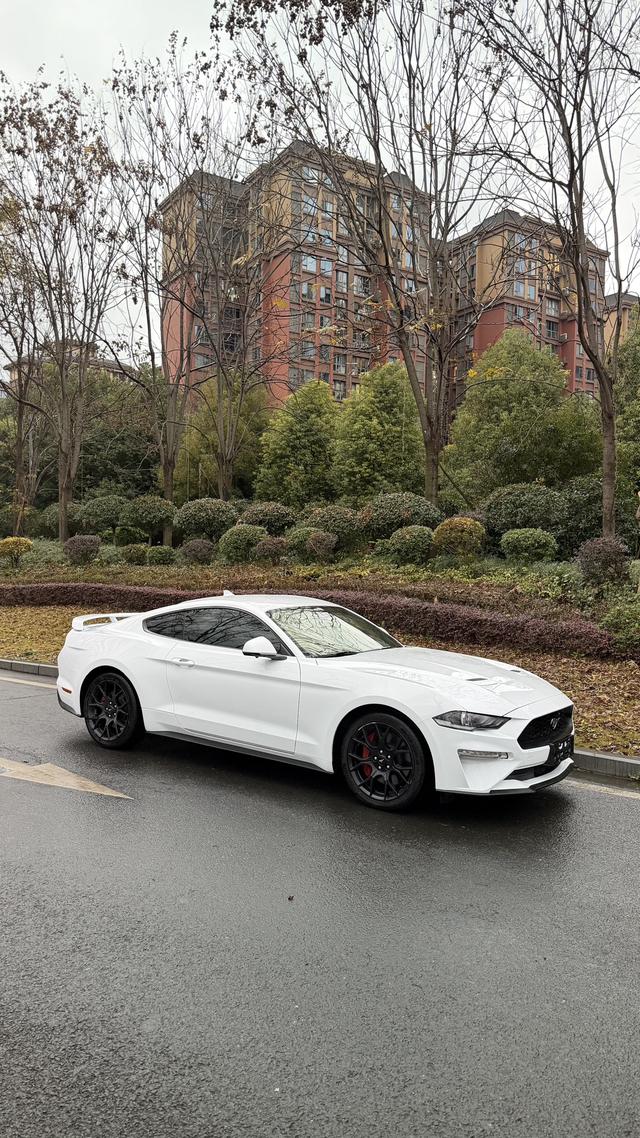 Mustang Модель 2020 года 2.3T EcoBoost – фото 5