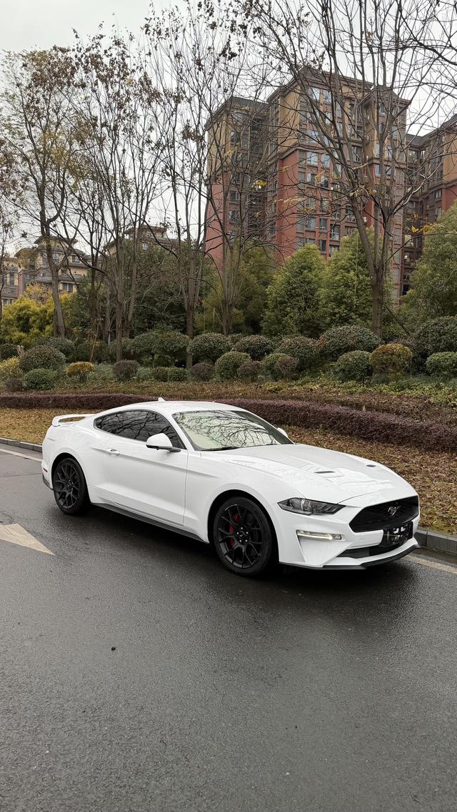 Mustang Модель 2020 года 2.3T EcoBoost – фото 6