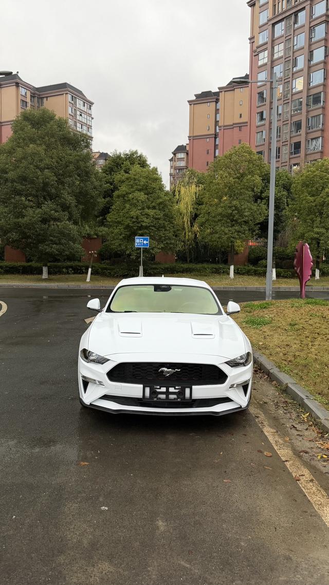Mustang Модель 2020 года 2.3T EcoBoost – фото 7