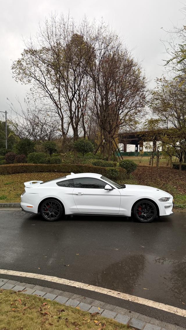 Mustang Модель 2020 года 2.3T EcoBoost – фото 8