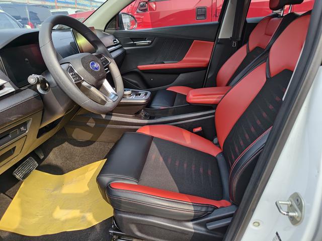 BYD E2 Модель 2019 года Long Range Edition Shine · Luxury – фото 6