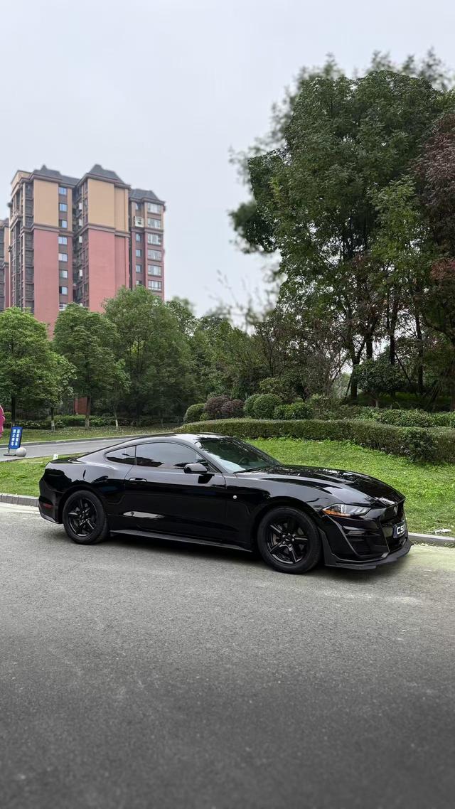Mustang Модель 2018 года 2.3T параллельный импорт Imported – фото 3
