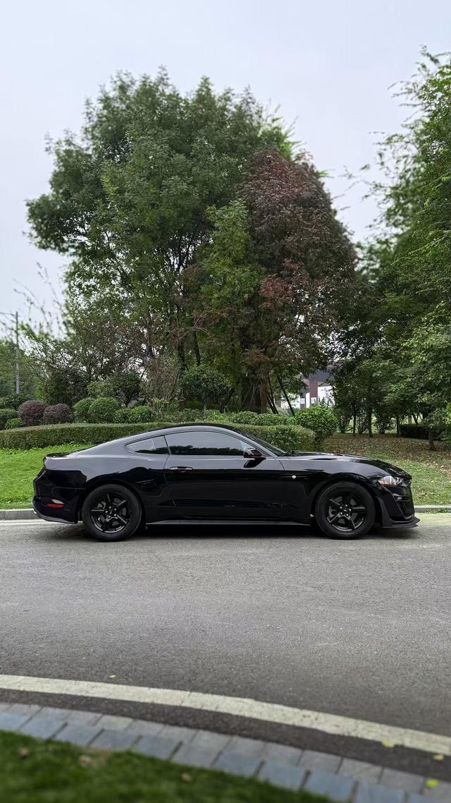 Mustang Модель 2018 года 2.3T параллельный импорт Imported – фото 4