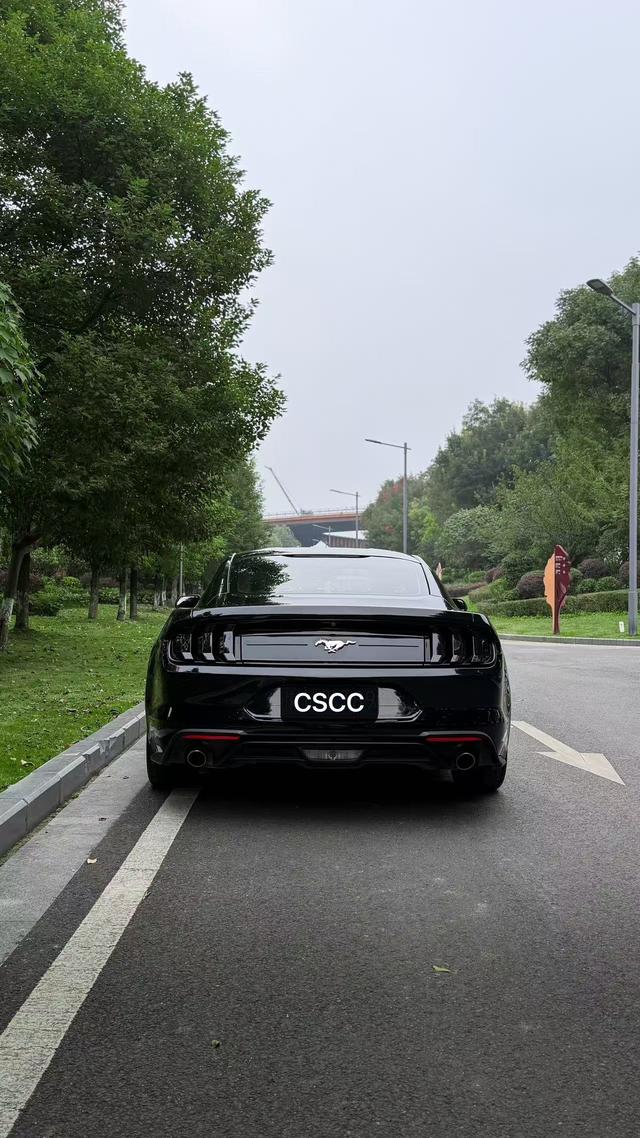 Mustang Модель 2018 года 2.3T параллельный импорт Imported – фото 9