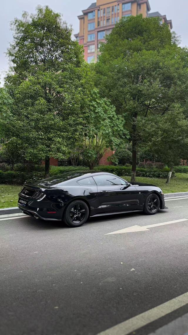 Mustang Модель 2018 года 2.3T параллельный импорт Imported – фото 10