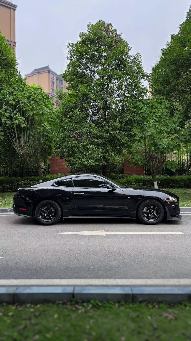 Mustang Модель 2018 года 2.3T параллельный импорт Imported – фото 12