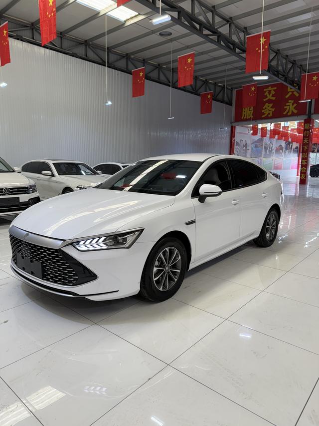 BYD Qin PLUS DM 2024 Glory DM-i 120KM Excellence – фото 1