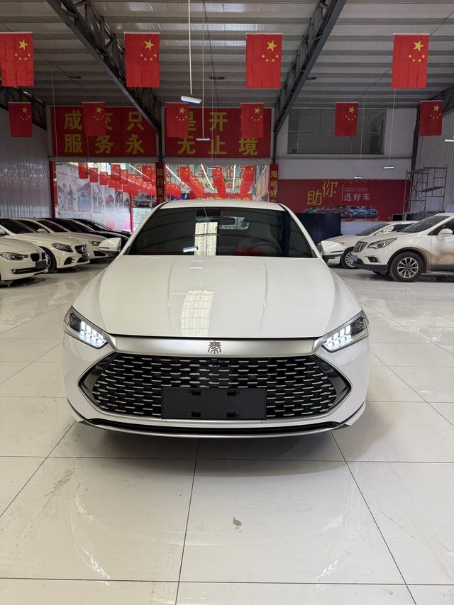 BYD Qin PLUS DM 2024 Glory DM-i 120KM Excellence – фото 2