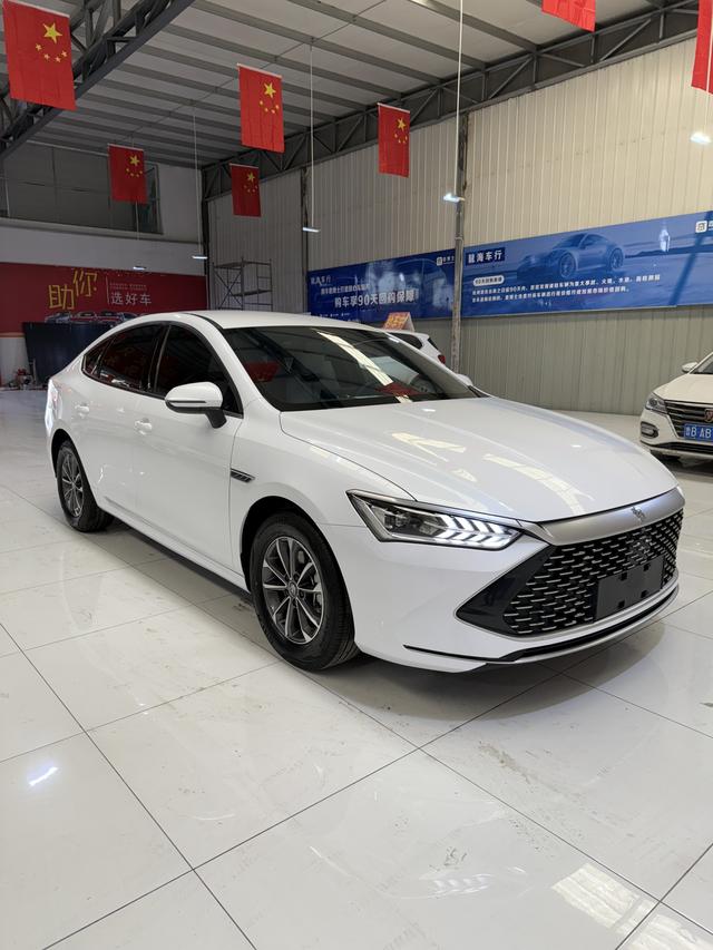 BYD Qin PLUS DM 2024 Glory DM-i 120KM Excellence – фото 6
