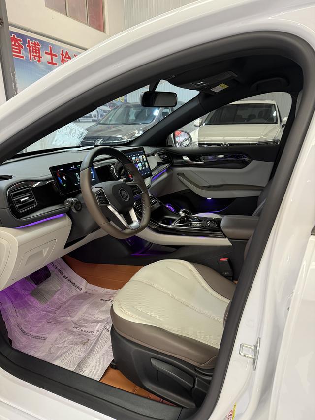 BYD Qin PLUS DM 2024 Glory DM-i 120KM Excellence – фото 9