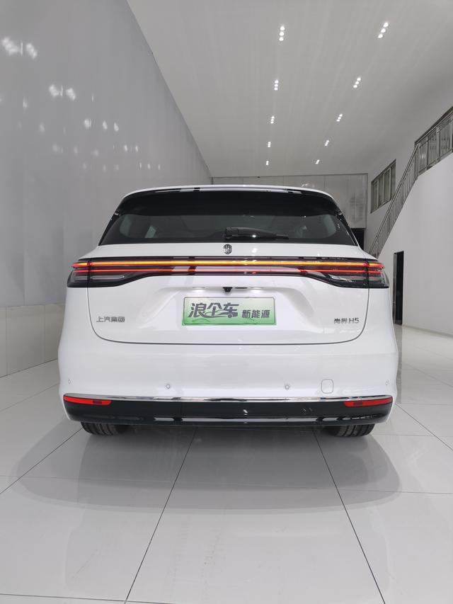 Sangyuan H5 2025 Extended-Range Max
